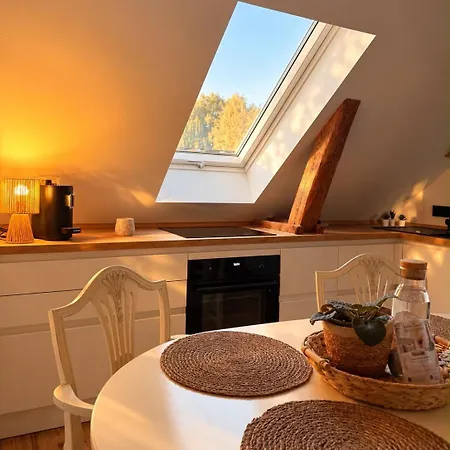 Apartament Haendel *